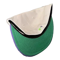 Tampa Bay Rays Stone and Purple Tropicana Field Patch Green UV New Era 59FIFTY Fitted Hat