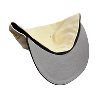 Pittsburgh Steelers Cream Two Tone Pro Image Sports Exclusive Chrome Collection New Era 59FIFTY Fitted Hat