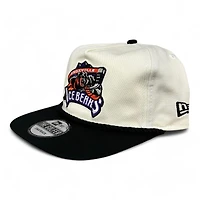 Knoxville Ice Bears X Scruffy City Shiners Cream and Black Golfer New Era Snapback Hat