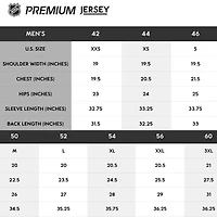 St. Louis Blues Cream 2025 NHL Winter Classic Premium Blank Jersey