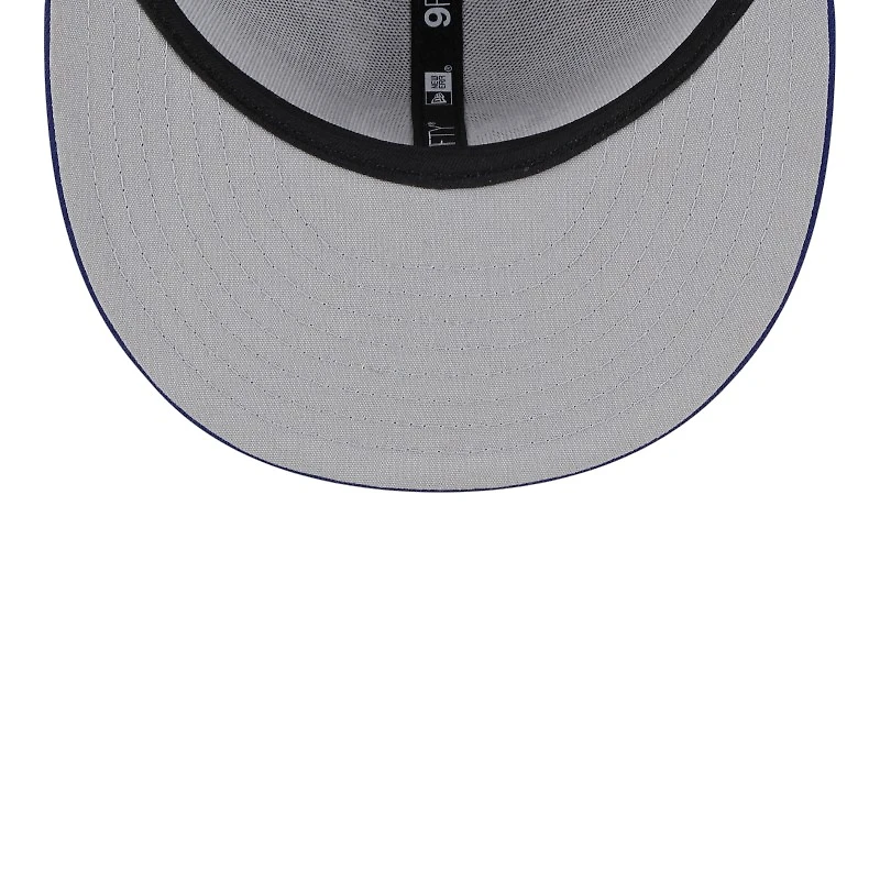 Los Angeles Dodgers Gray and Royal Blue 2025 Batting Practice New Era 9FIFTY Snapback Hat