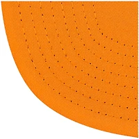 Charlotte Hornets Greem 5th Anni Patch Mitchell & Ness NBA Snapback Hat