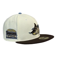 Tampa Bay Rays Chrome and Brown Tropicana Field Patch Gray UV New Era 59FIFTY Fitted Hat