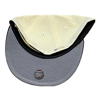 Tampa Bay Rays Chrome and Brown Tropicana Field Patch Gray UV New Era 59FIFTY Fitted Hat
