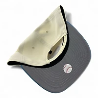 Arizona Diamondbacks Chrome and Sky Blue New Era 9FIFTY A-Frame Snapback Hat