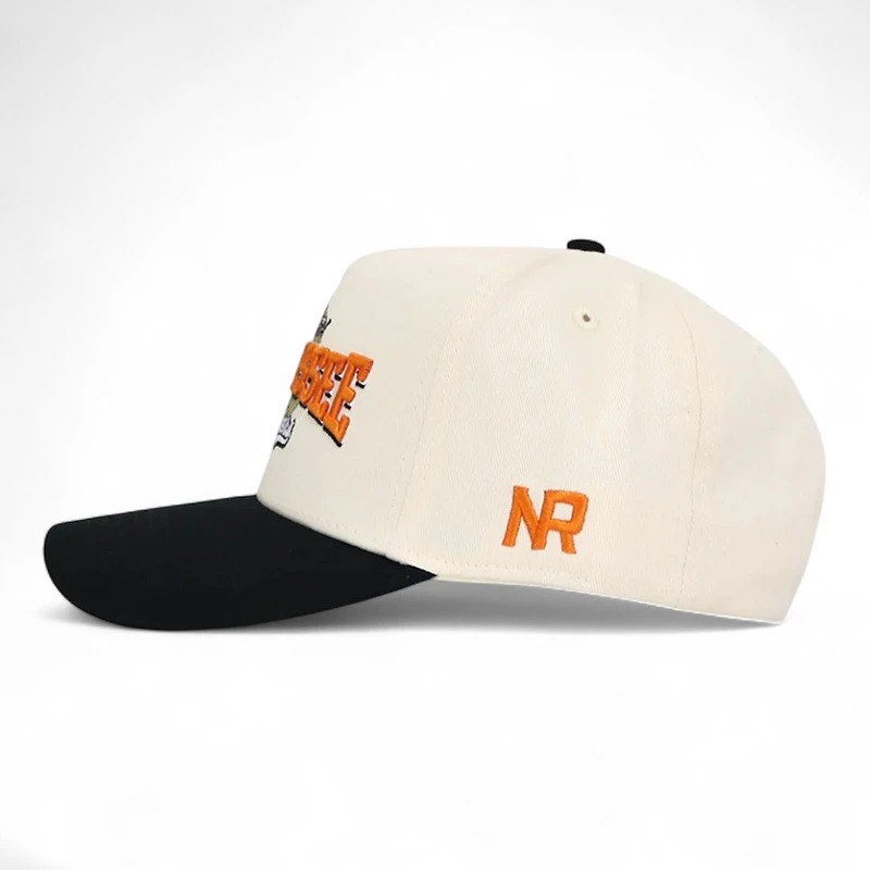 Tennessee Volunteers Chrome and Black Ballpark No Rivals Snapback Hat