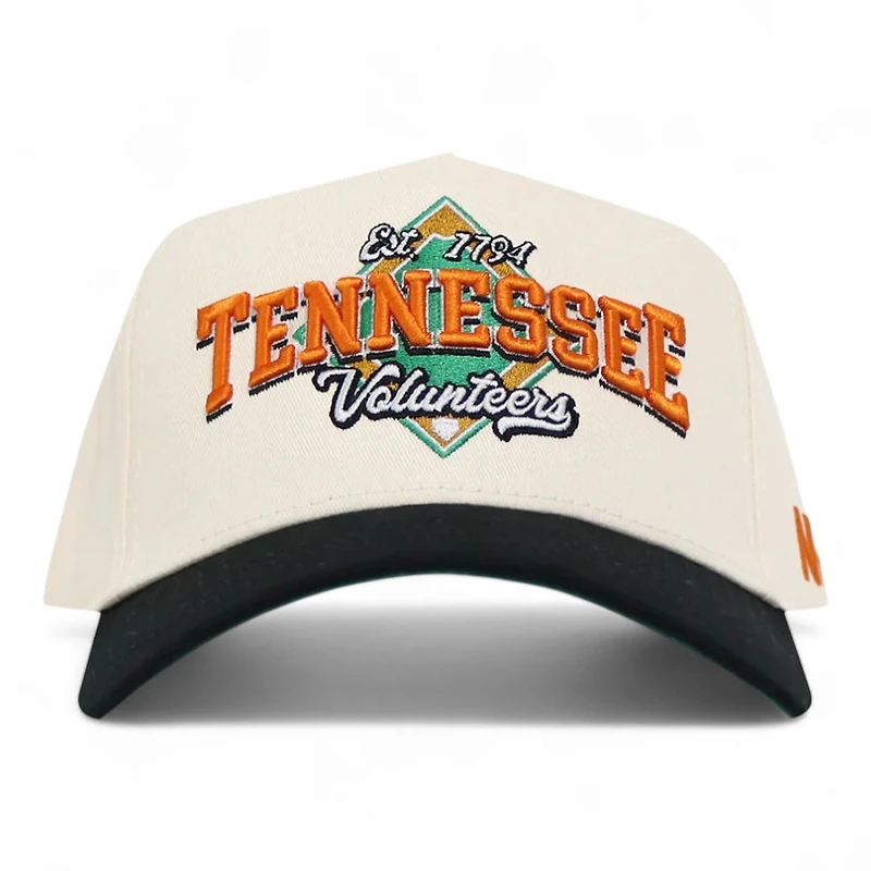 Tennessee Volunteers Chrome and Black Ballpark No Rivals Snapback Hat