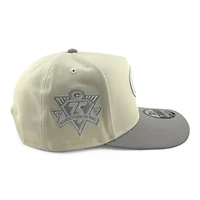 Green Bay Packers Chrome and Gray 75th Anniversary Patch New Era 9FIFTY A-Frame Snapback Hat