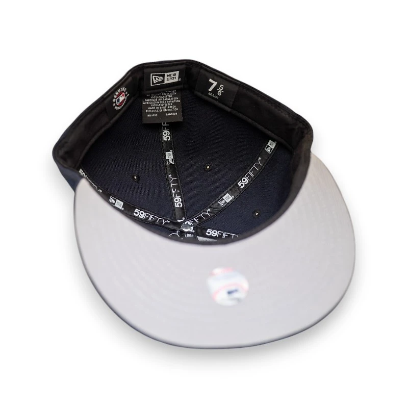 Toronto Blue Jays Leon the Lab City Connect Grey UV New Era 59FIFTY Fitted Hat