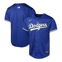 Youth Los Angeles Dodgers Royal Blue Blank Nike Limited Jersey