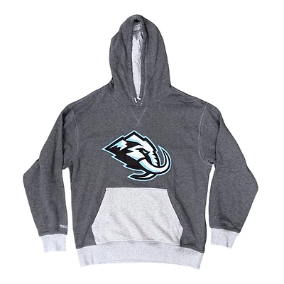 Utah Mammoth Gray NHL Legacy Collection Mitchell & Ness Fleece Hoodie