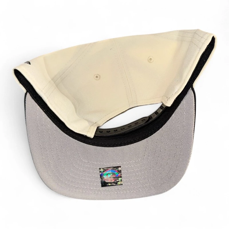 Rocket City Trash Pandas Chrome and Black with Gray UV New Era A-Frame Snapback Hat