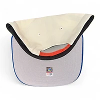 Florida Gators Chrome and Royal Upside Down Gray UV New Era A-Frame Snapback Hat