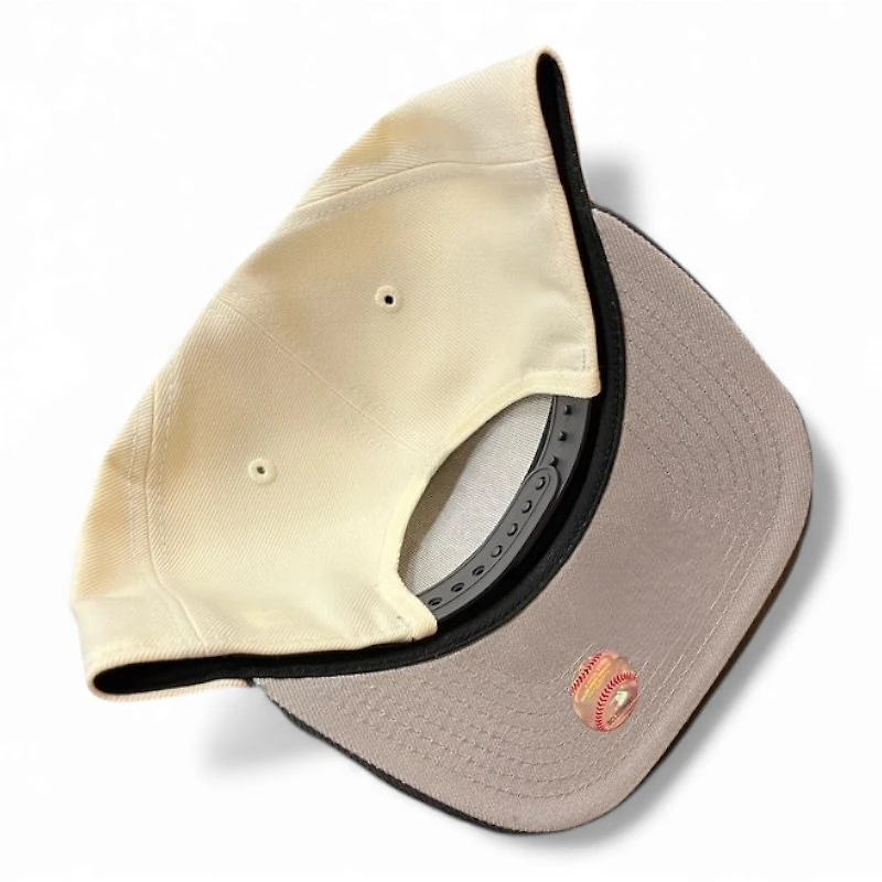 New York Yankees Chrome and Graphite New Era 9FIFTY A-Frame Snapback Hat