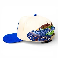 BYU Cougars Cream and Royal LES Backdrop Suede Woodn Grail A-Frame Snapback Hat