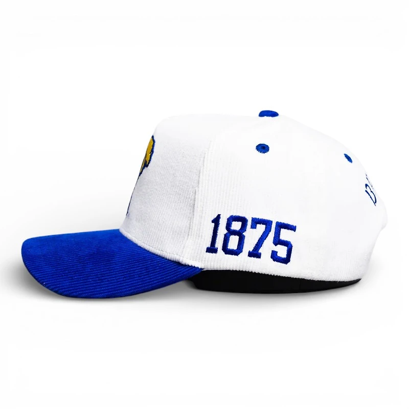 BYU Cougars White and Royal Blue Trey Stewart Collab Suede Woodn Grail A-Frame Snapback Hat