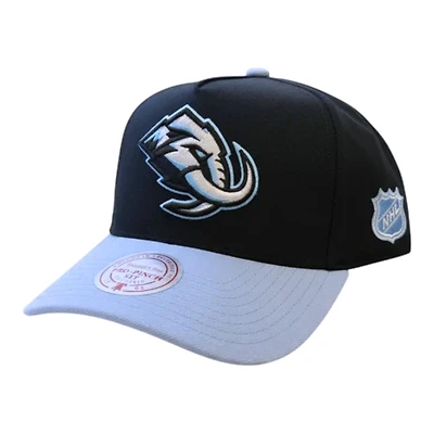 Utah Mammoth Blue Mitchell & Ness Pro Pinch Snapback Hat