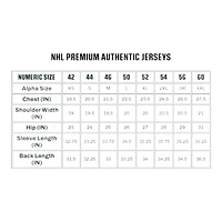 Los Angeles Kings Black Blank Fanatics NHL Alternate Premium Jersey