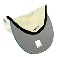 Knoxville Smokies Chrome and Light Blue Southern League Patch Gray UV New Era 59FIFTY Fitted Hat