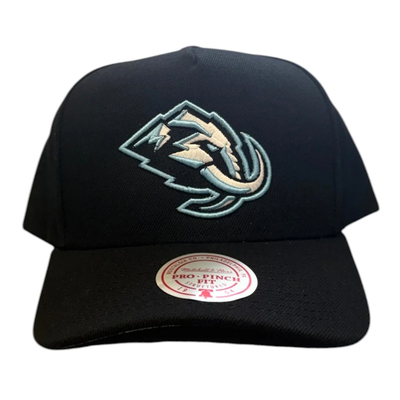 Utah Mammoth Black Mitchell & Ness Pro Pinch Snapback Hat