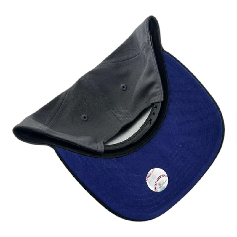 Los Angeles Dodgers Graphite and Black Royal Prism Collection New Era 9FIFTY A-Frame Snapback Hat