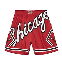 Chicago Bulls Big Face 2.0 Mitchell & Ness Shorts