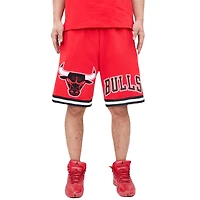 Chicago Bulls Red Pro Standard Chenille Shorts