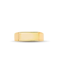 Hudson Signet Ring 18k Gold Vermeil