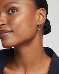 Star Huggie Earrings