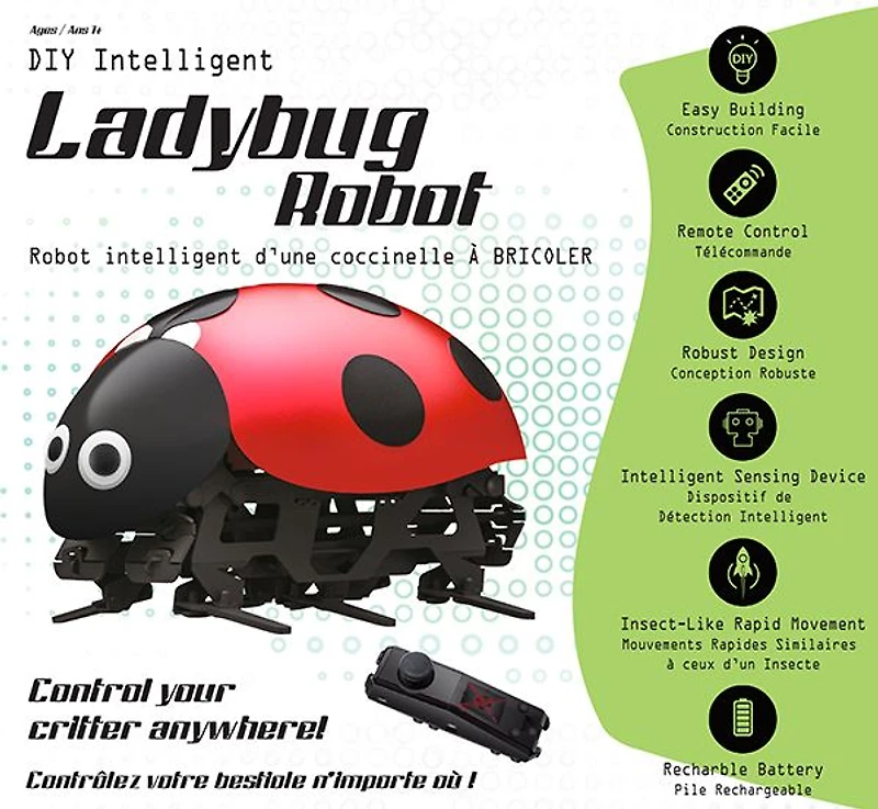 DIY Ladybug Robot