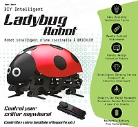 DIY Ladybug Robot