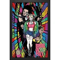 Harley Quinn – Birds Of Prey – Rainbow 13″ x 19″ Framed Wall Art