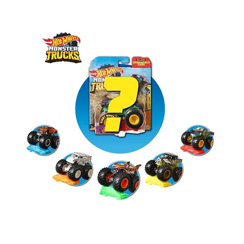Hot Wheels Monster Jam/Monster Truck Assorted (Random Pick)