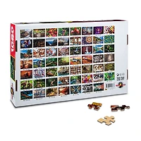 Costa Rican Quetzal 1000 Pieces Jigsaw Puzzle