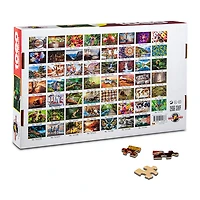 Indonesian Hornbill 1000 Pieces Jigsaw Puzzle