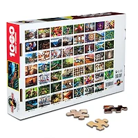 Iguana Afternoon 1000 Pieces Jigsaw Puzzle