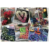 Ravensburger NYC Flower Flash 1000 Pieces Puzzle