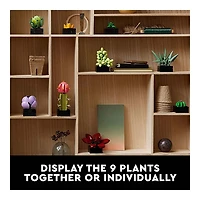 Lego Icons Succulents Botanical Collections 771 Pcs