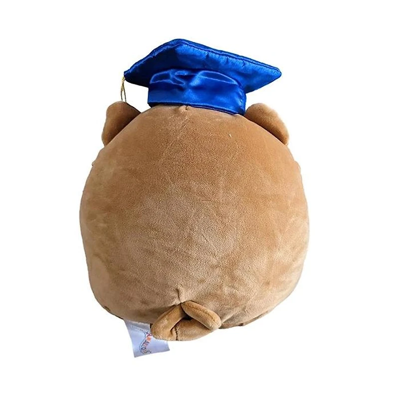 Plush Squishmallow Graduation 8 Inch (Random Pick)