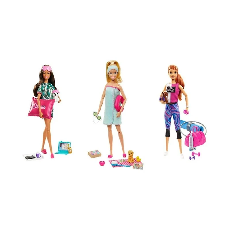 Mattel Barbie Wellness Doll Accessories set Assorted (Random Pick)