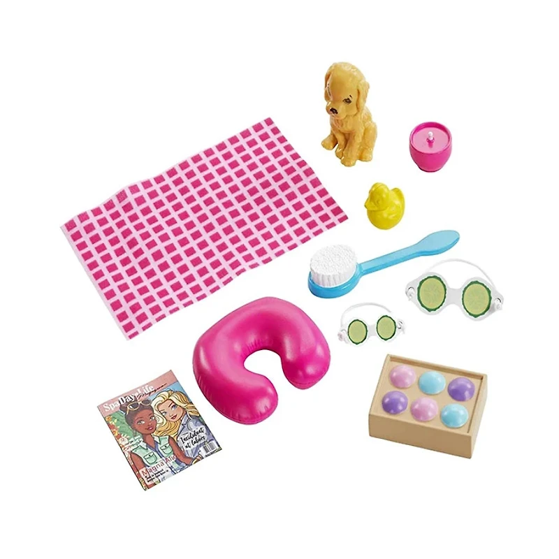 Mattel Barbie Wellness Doll Accessories set Assorted (Random Pick)