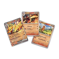 Pokemon TCG Charizard Ex Super Premium Collection Box