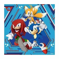 Ravensburger Sonic The Hedgehog 49 Pieces Set Of 3 Jigsaw Puzzle