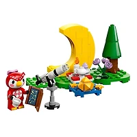 LEGO Animal Crossing Stargazing With Celeste 78 Pieces