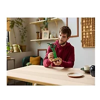 LEGO Botanicals Lucky Bamboo 325 Pieces