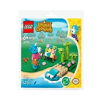 LEGO Animal Crossing Julian’s Beach Painting 43 Pieces