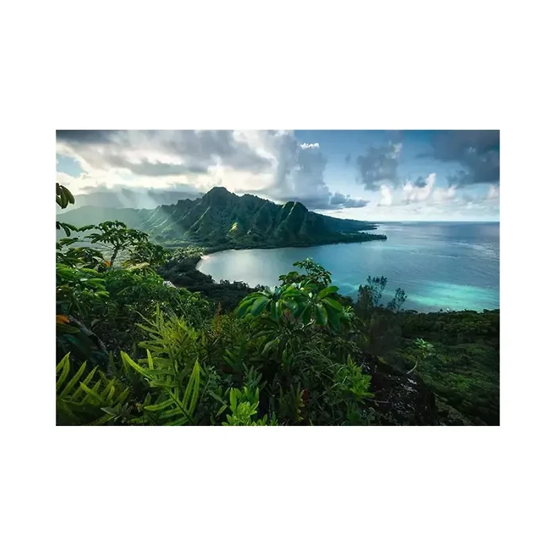 Ravensburger Hawaiian Viewpoint 5000 Piece Jigsaw Puzzle
