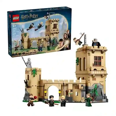 LEGO Harry Potter Hogwarts Castle Flying Lessons 651 Pieces