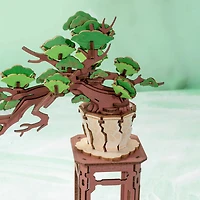Rolife Evergreen Pine Bonsai DIY Wooden 3D Puzzle