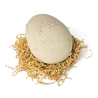 Jurassic World Primal Hatch Interactive T-Rex Toy Dinosaur & Egg